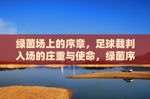 绿茵场上的序章,足球裁判入场的庄重与使命,绿茵序章,裁判入场的庄重使命