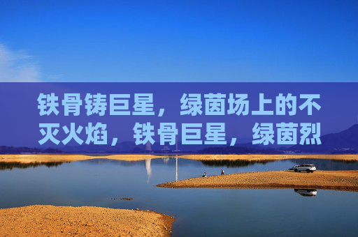 铁骨铸巨星,绿茵场上的不灭火焰,铁骨巨星,绿茵烈焰