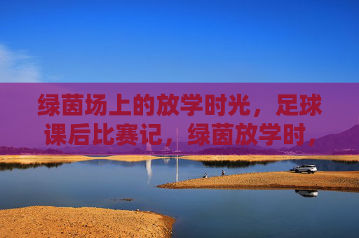 绿茵场上的放学时光,足球课后比赛记,绿茵放学时,足球课后赛