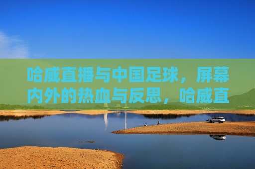 哈威直播与中国足球，屏幕内外的热血与反思，哈威直播与中国足球，屏幕内外的热血与反思