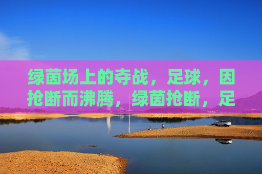 绿茵场上的夺战,足球,因抢断而沸腾,绿茵抢断,足球沸腾