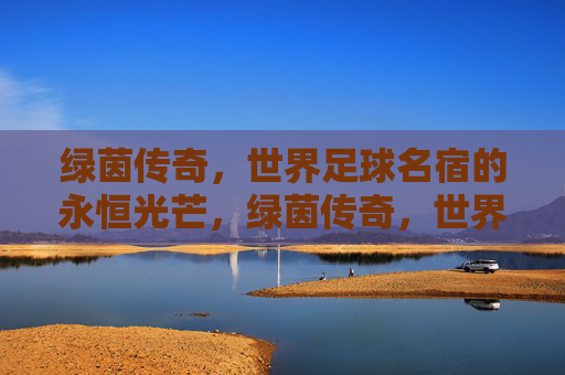绿茵传奇,世界足球名宿的永恒光芒,绿茵传奇,世界足球名宿的永恒光芒