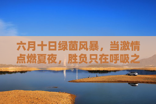 六月十日绿茵风暴，当激情点燃夏夜，胜负只在呼吸之间，六月十日绿茵风暴，夏夜胜负呼吸间