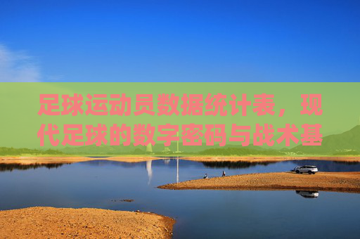 足球运动员数据统计表，现代足球的数字密码与战术基石，足球运动员数据统计表，现代足球的数字密码与战术基石