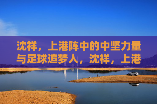 沈祥，上港阵中的中坚力量与足球追梦人，沈祥，上港中坚与足球追梦人