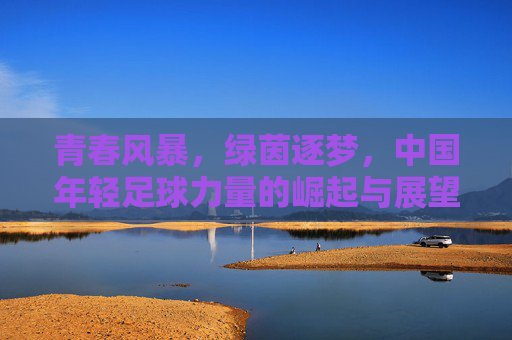 青春风暴,绿茵逐梦,中国年轻足球力量的崛起与展望,青春风暴,绿茵逐梦,中国年轻足球力量的崛起与展望