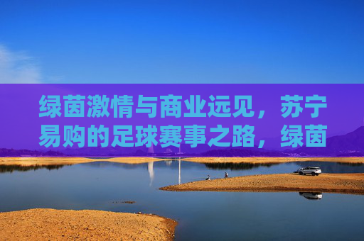 绿茵激情与商业远见，苏宁易购的足球赛事之路，绿茵激情与商业远见，苏宁易购的足球赛事之路