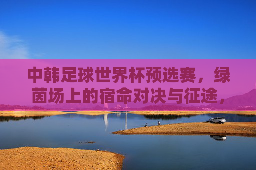 中韩足球世界杯预选赛，绿茵场上的宿命对决与征途，中韩世界杯预选赛，宿命对决的绿茵征途