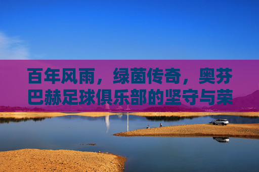 百年风雨,绿茵传奇,奥芬巴赫足球俱乐部的坚守与荣光