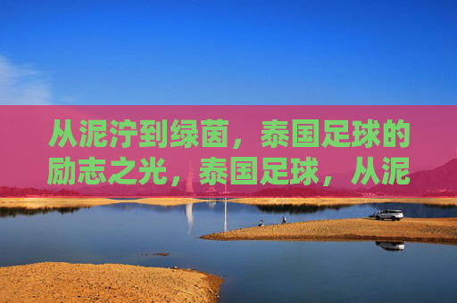 从泥泞到绿茵,泰国足球的励志之光,泰国足球,从泥泞到绿茵的励志之光