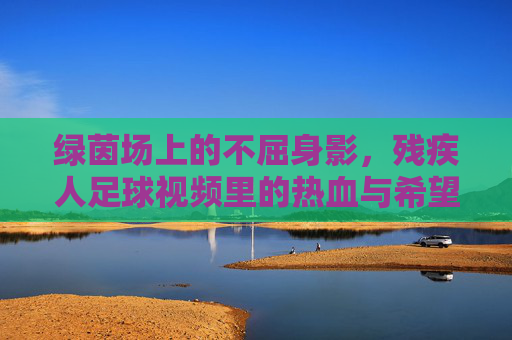 绿茵场上的不屈身影，残疾人足球视频里的热血与希望，绿茵场上的不屈身影，残疾人足球的热血与希望