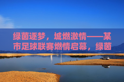 绿茵逐梦，城燃激情——某市足球联赛燃情启幕，绿茵逐梦，城燃激情——某市足球联赛燃情启幕