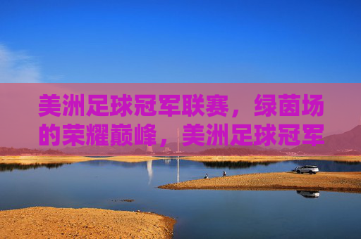 美洲足球冠军联赛,绿茵场的荣耀巅峰,美洲足球冠军联赛,绿茵场荣耀巅峰