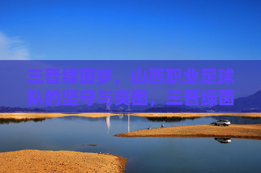 三晋绿茵梦,山西职业足球队的坚守与突围,三晋绿茵梦,山西足球队的坚守与突围