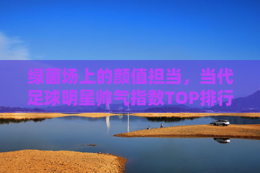 绿茵场上的颜值担当,当代足球明星帅气指数TOP排行