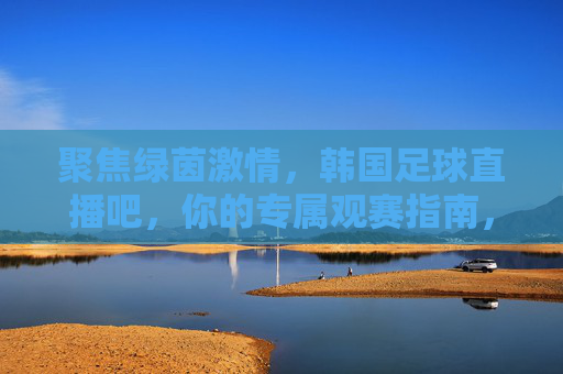聚焦绿茵激情，韩国足球直播吧，你的专属观赛指南，韩国足球直播吧，绿茵激情专属观赛指南