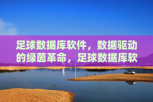 足球数据库软件,数据驱动的绿茵革命,足球数据库软件,数据驱动的绿茵革命
