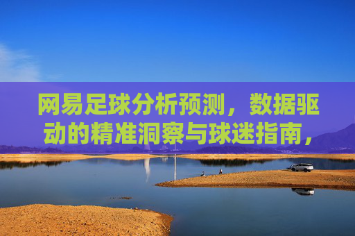 网易足球分析预测，数据驱动的精准洞察与球迷指南，网易足球，数据驱动的精准预测与球迷指南