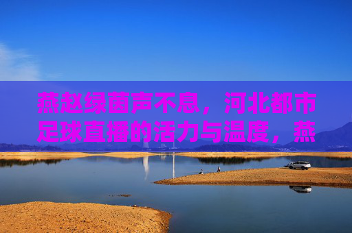 燕赵绿茵声不息,河北都市足球直播的活力与温度,燕赵绿茵直播,都市足球的活力与温度