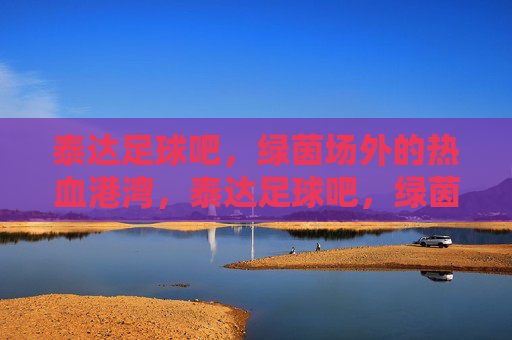 泰达足球吧，绿茵场外的热血港湾，泰达足球吧，绿茵场外的热血港湾