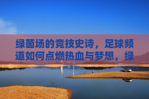 绿茵场的竞技史诗，足球频道如何点燃热血与梦想，绿茵史诗，足球频道的热血燃梦