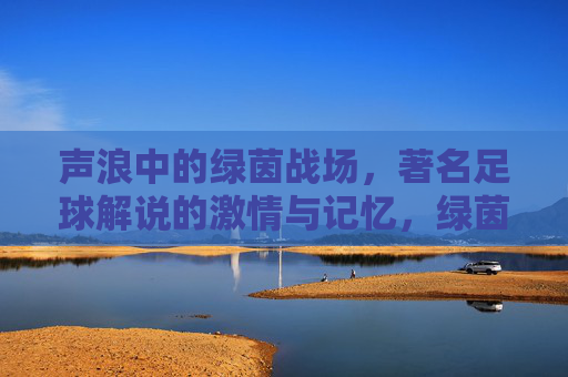 声浪中的绿茵战场,著名足球解说的激情与记忆,绿茵声浪,解说席上的激情与记忆