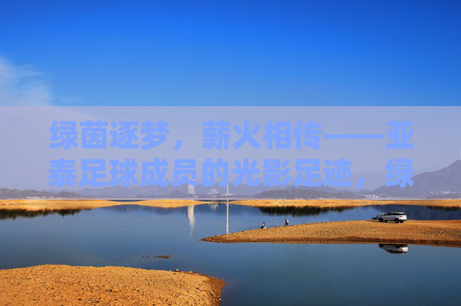 绿茵逐梦，薪火相传——亚泰足球成员的光影足迹，绿茵逐梦薪火传，亚泰足球成员足迹