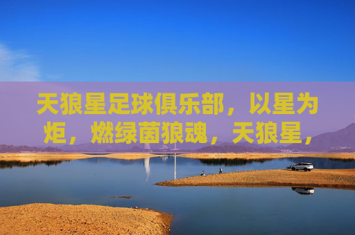 天狼星足球俱乐部,以星为炬,燃绿茵狼魂,天狼星,星炬燃绿茵狼魂