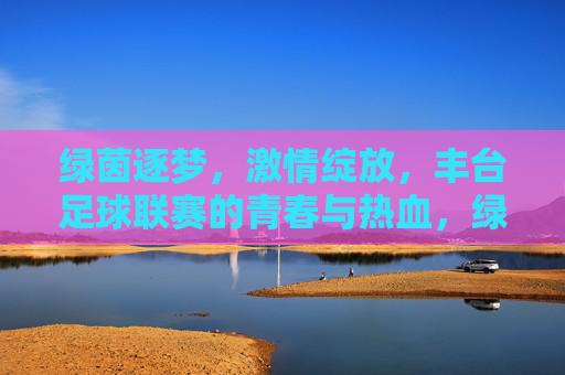绿茵逐梦，激情绽放，丰台足球联赛的青春与热血，绿茵逐梦，青春热血——丰台足球联赛