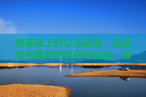 绿茵场上的公正使者，足球知名裁判的风采与担当，绿茵场上的公正使者，足球裁判的风采与担当