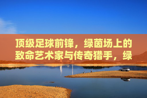 顶级足球前锋,绿茵场上的致命艺术家与传奇猎手,绿茵致命艺术家,顶级前锋的传奇猎手