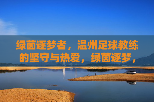 绿茵逐梦者，温州足球教练的坚守与热爱，绿茵逐梦，温州足球教练的坚守与热爱