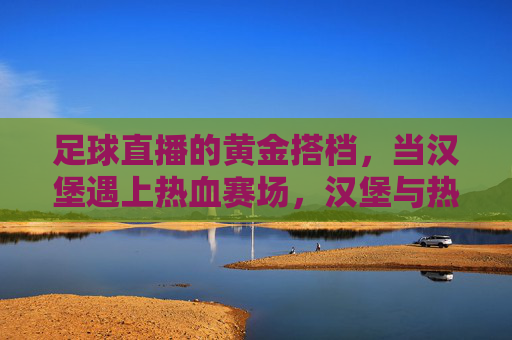 足球直播的黄金搭档,当汉堡遇上热血赛场,汉堡与热血赛场,足球直播的黄金搭档