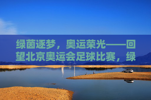 绿茵逐梦，奥运荣光——回望北京奥运会足球比赛，绿茵逐梦，奥运荣光——回望北京奥运会足球比赛