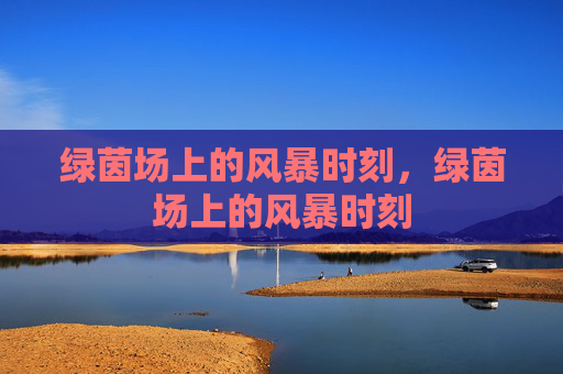 绿茵场上的风暴时刻，绿茵场上的风暴时刻
