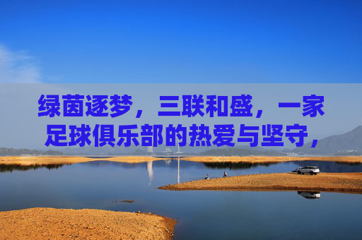 绿茵逐梦，三联和盛，一家足球俱乐部的热爱与坚守，三联和盛，绿茵逐梦的热爱与坚守