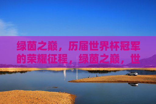 绿茵之巅，历届世界杯冠军的荣耀征程，绿茵之巅，世界杯冠军荣耀征程