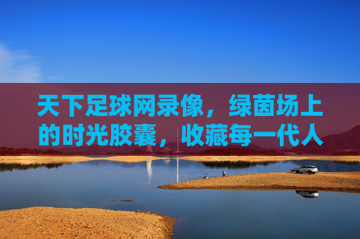 天下足球网录像,绿茵场上的时光胶囊,收藏每一代人的足球心跳