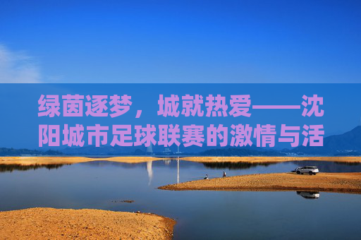 绿茵逐梦，城就热爱——沈阳城市足球联赛的激情与活力，绿茵逐梦，城就热爱——沈阳城市足球联赛
