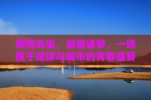 燃情鸟巢,绿茵逐梦,一场属于足球与城市的青春盛宴,燃情鸟巢,绿茵逐梦的青春盛宴
