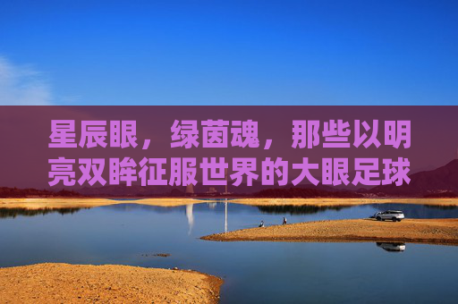 星辰眼,绿茵魂,那些以明亮双眸征服世界的大眼足球明星,星辰眼耀绿茵,大眼球星征服世界