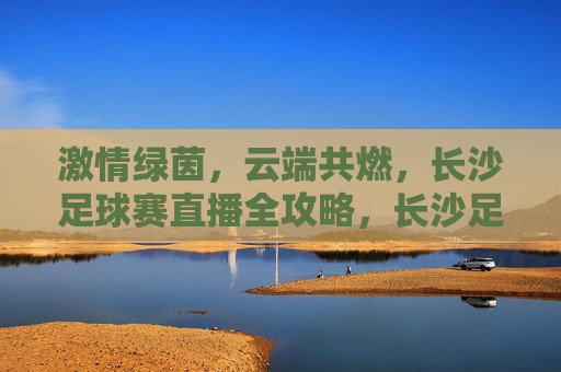 激情绿茵,云端共燃,长沙足球赛直播全攻略,长沙足球赛云端直播全攻略