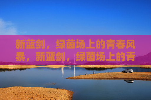 新蓝剑，绿茵场上的青春风暴，新蓝剑，绿茵场上的青春风暴