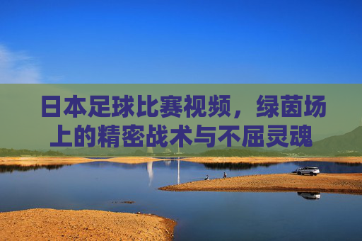 日本足球比赛视频,绿茵场上的精密战术与不屈灵魂