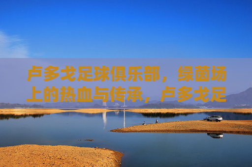 卢多戈足球俱乐部，绿茵场上的热血与传承，卢多戈足球俱乐部，绿茵热血，薪火传承