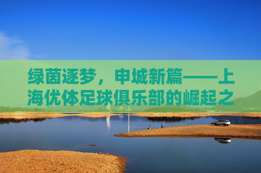 绿茵逐梦，申城新篇——上海优体足球俱乐部的崛起之路，上海优体足球俱乐部，绿茵逐梦，申城崛起