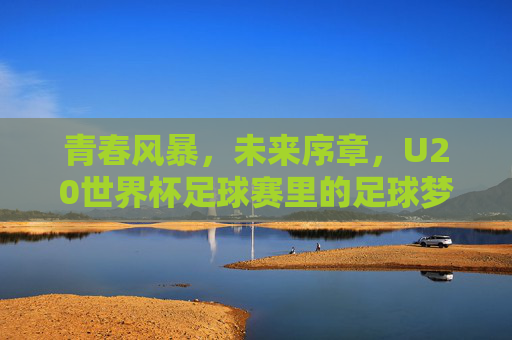 青春风暴，未来序章，U20世界杯足球赛里的足球梦想与成长，青春风暴·未来序章，U20世界杯的足球梦想与成长
