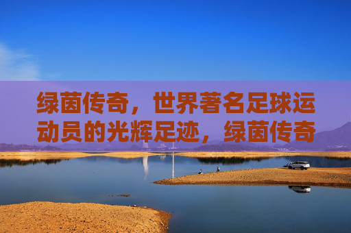 绿茵传奇，世界著名足球运动员的光辉足迹，绿茵传奇，世界足球巨星的光辉足迹