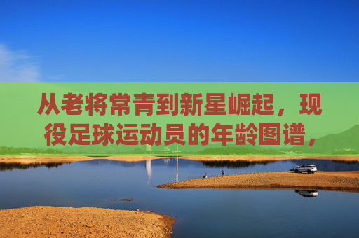 从老将常青到新星崛起，现役足球运动员的年龄图谱，老将常青到新星崛起，现役足球运动员年龄图谱