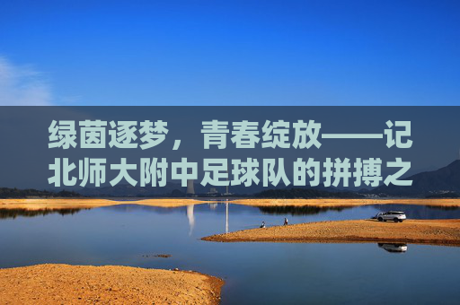 绿茵逐梦,青春绽放——记北师大附中足球队的拼搏之路